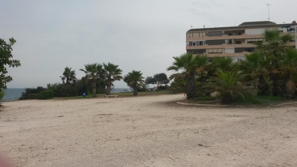 Apartment Parquemar La Mata  Rum bild
